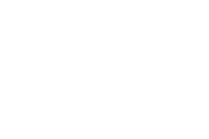 5-certified-webdesigner